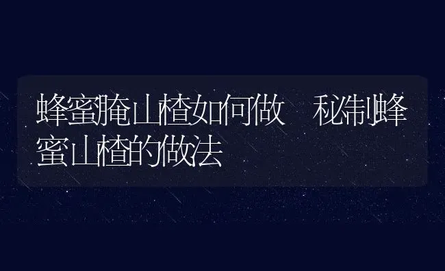 蜂蜜腌山楂如何做 秘制蜂蜜山楂的做法 | 养殖资料投稿