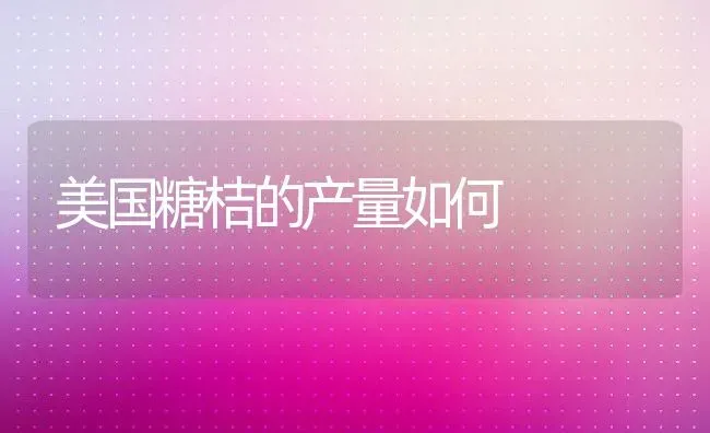 美国糖桔的产量如何 | 养殖资讯