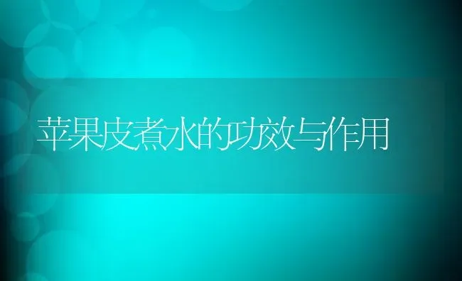 苹果皮煮水的功效与作用 | 养殖资料投稿