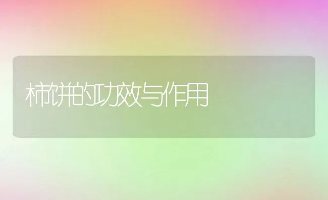 柿饼的功效与作用 | 养殖资料投稿