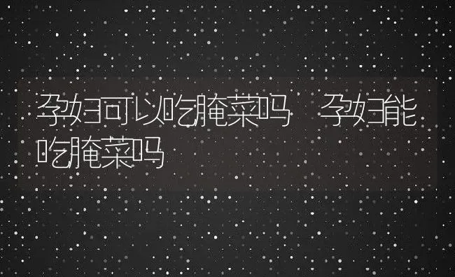 孕妇可以吃腌菜吗 孕妇能吃腌菜吗 | 养殖资料投稿