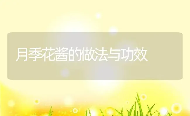 月季花酱的做法与功效 | 养殖资料投稿