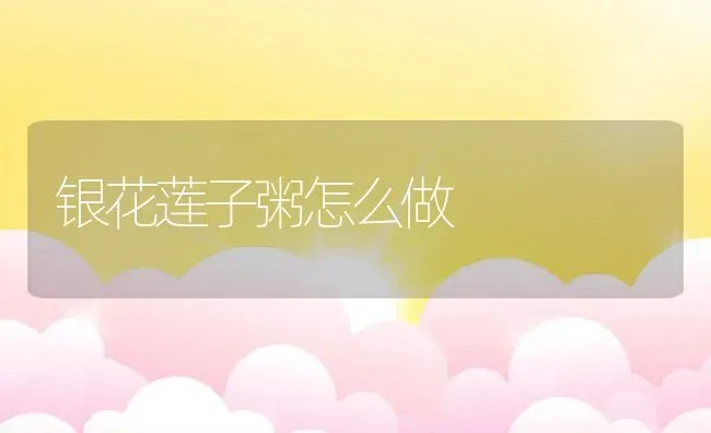 银花莲子粥怎么做 | 养殖资讯