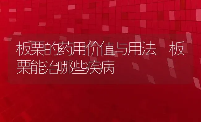 板栗的药用价值与用法 板栗能治哪些疾病 | 养殖资料投稿