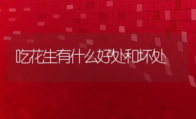 吃花生有什么好处和坏处 | 养殖资料投稿