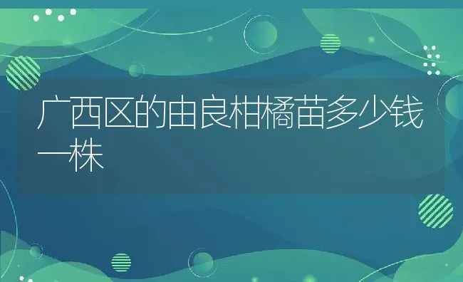 广西区的由良柑橘苗多少钱一株 | 养殖资讯