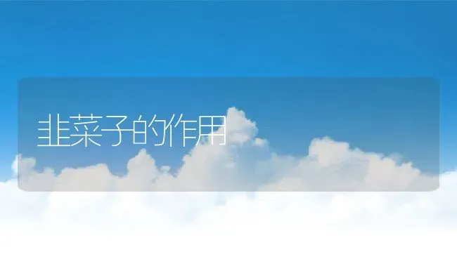 韭菜子的作用 | 养殖资料投稿