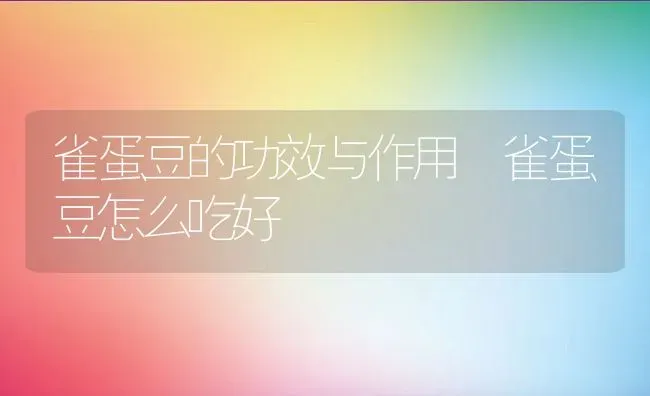 雀蛋豆的功效与作用 雀蛋豆怎么吃好 | 养殖资料投稿