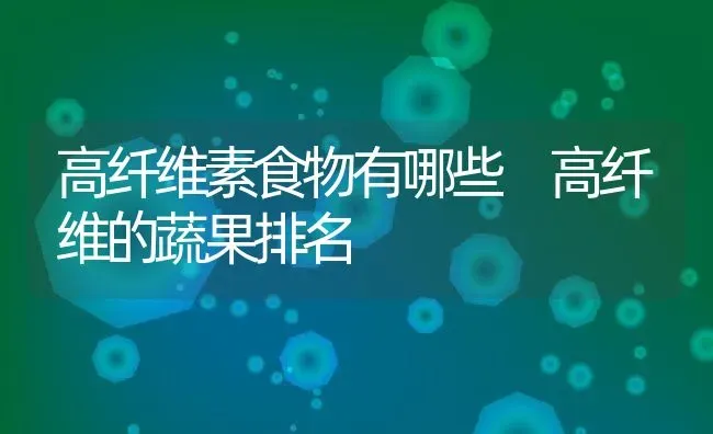 高纤维素食物有哪些 高纤维的蔬果排名 | 养殖资料投稿