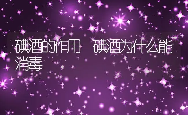 碘酒的作用 碘酒为什么能消毒 | 养殖资料投稿