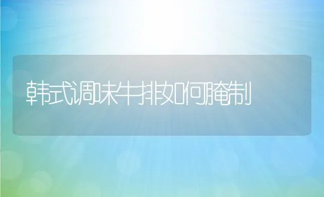 韩式调味牛排如何腌制 | 养殖资料投稿