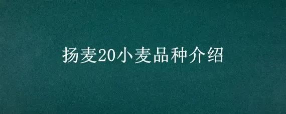 扬麦20小麦品种介绍