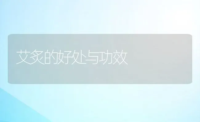 艾炙的好处与功效 | 养殖资料投稿