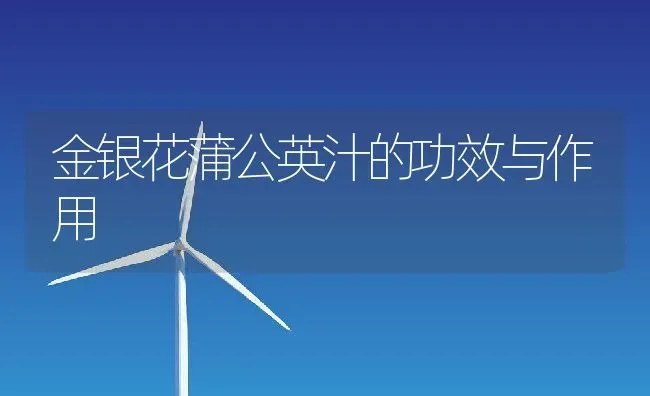 金银花蒲公英汁的功效与作用 | 养殖资料投稿
