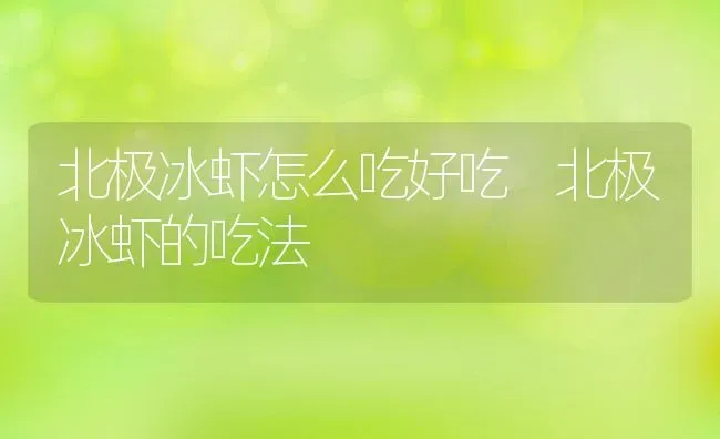 北极冰虾怎么吃好吃 北极冰虾的吃法 | 养殖资料投稿