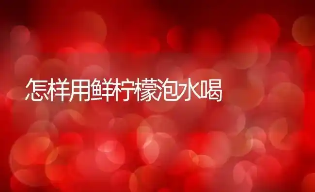 怎样用鲜柠檬泡水喝 | 养殖资料投稿