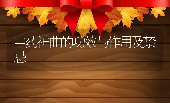中药神曲的功效与作用及禁忌 | 养殖资料投稿
