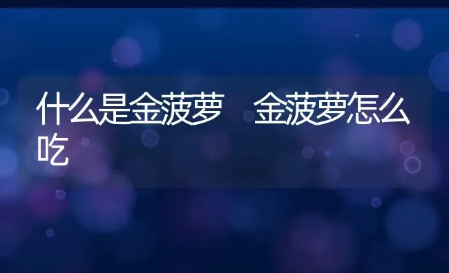 什么是金菠萝 金菠萝怎么吃 | 养殖资料投稿