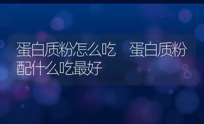 蛋白质粉怎么吃 蛋白质粉配什么吃最好 | 养殖资料投稿