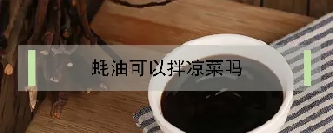 蚝油可以拌凉菜吗