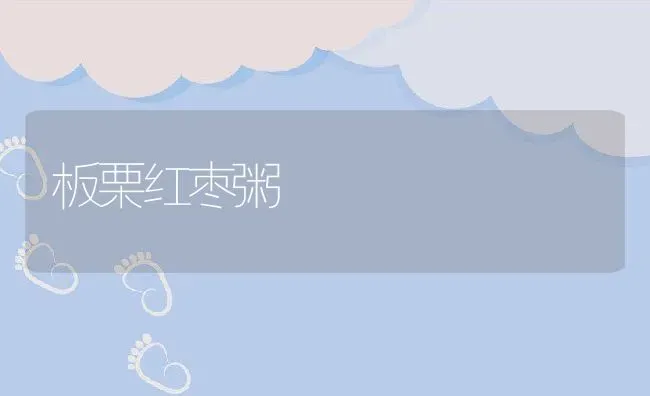 板栗红枣粥 | 养殖资料投稿
