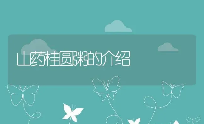 山药桂圆粥的介绍 | 养殖资讯