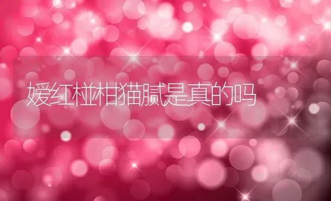 嫒红椪柑猫腻是真的吗 | 养殖资讯