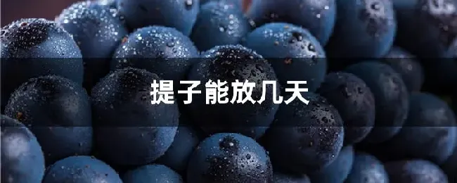 提子能放几天