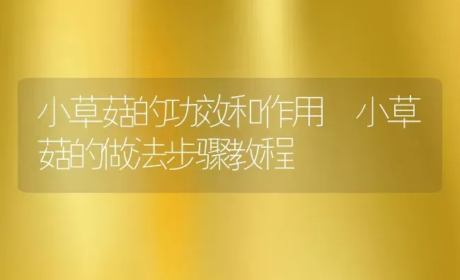 小草菇的功效和作用 小草菇的做法步骤教程 | 养殖资料投稿