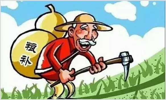 2020年国家粮食补贴最新政策解读 | 养殖赚钱项目