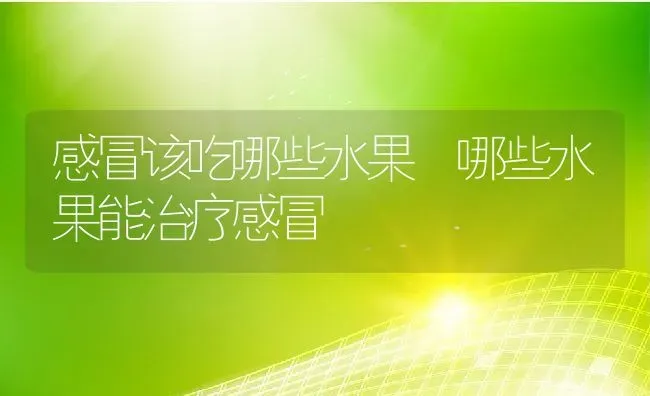 感冒该吃哪些水果 哪些水果能治疗感冒 | 养殖资料投稿