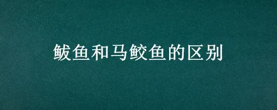 鲅鱼和马鲛鱼的区别