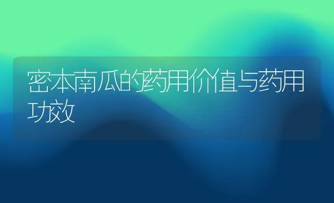 密本南瓜的药用价值与药用功效 | 养殖资料投稿