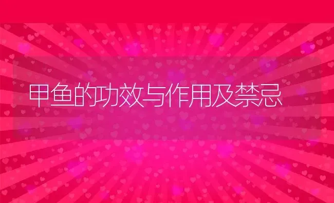 甲鱼的功效与作用及禁忌 | 养殖资料投稿