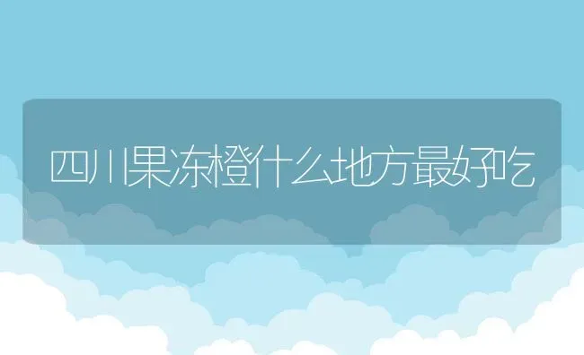 四川果冻橙什么地方最好吃 | 养殖资讯