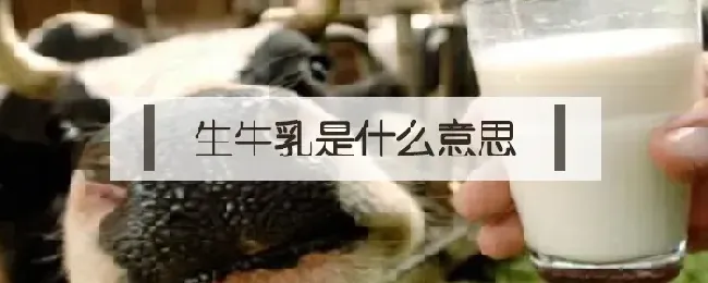 生牛乳是什么意思