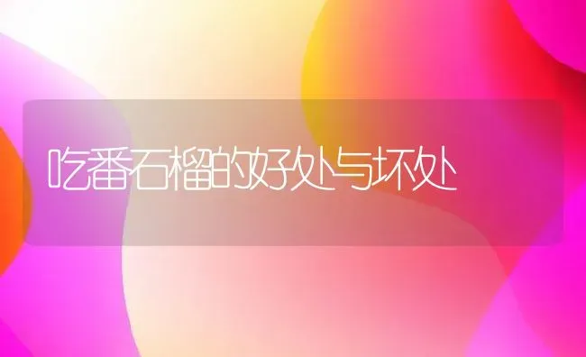 吃番石榴的好处与坏处 | 养殖资料投稿