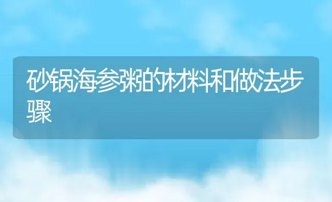 砂锅海参粥的材料和做法步骤 | 养殖资讯