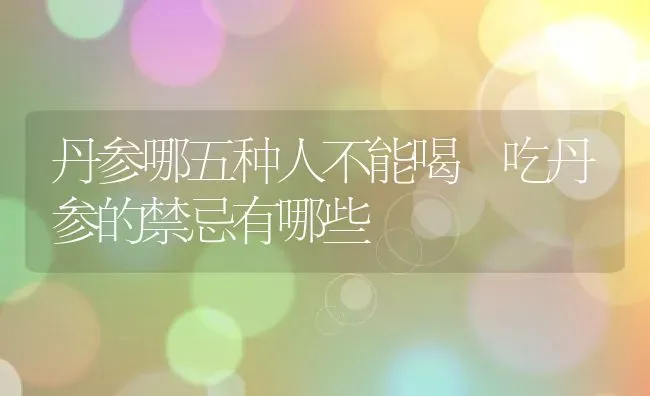 丹参哪五种人不能喝 吃丹参的禁忌有哪些 | 养殖资料投稿