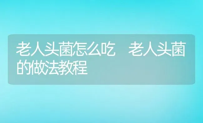 老人头菌怎么吃 老人头菌的做法教程 | 养殖资料投稿