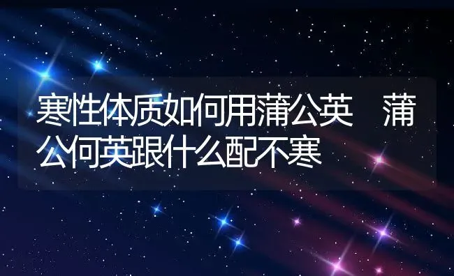 寒性体质如何用蒲公英 蒲公何英跟什么配不寒 | 养殖资料投稿