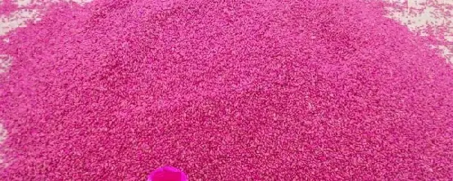 芸苔素拌种用量是多少和磷酸二氢钾能混用吗