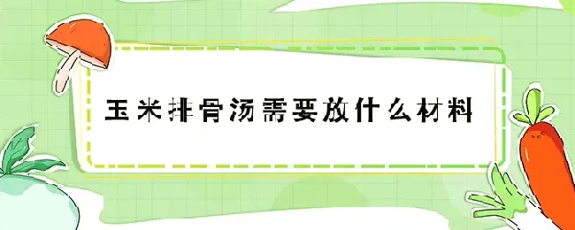 玉米排骨汤需要放什么材料