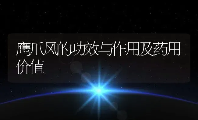 鹰爪风的功效与作用及药用价值 | 养殖资料投稿