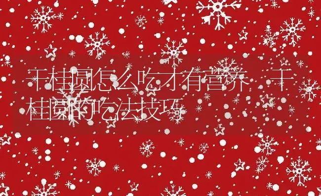 干桂圆怎么吃才有营养 干桂圆的吃法技巧 | 养殖资料投稿
