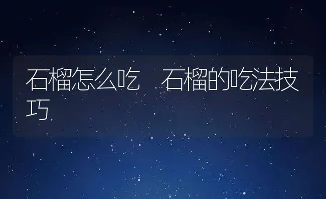 石榴怎么吃 石榴的吃法技巧 | 养殖资料投稿