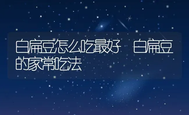 白扁豆怎么吃最好 白扁豆的家常吃法 | 养殖资料投稿