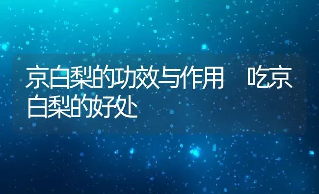 京白梨的功效与作用 吃京白梨的好处 | 养殖资料投稿