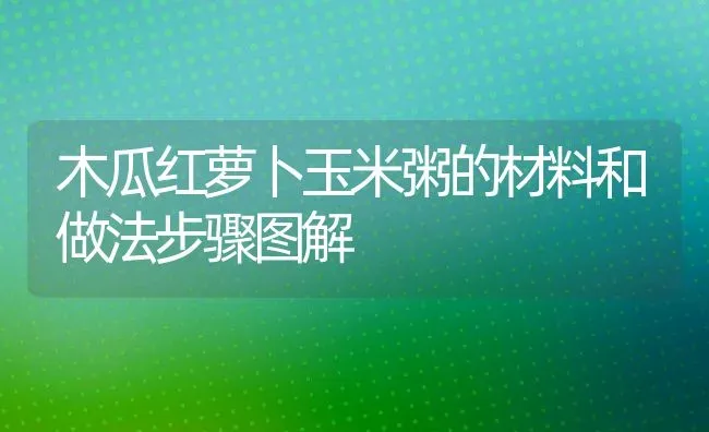 木瓜红萝卜玉米粥的材料和做法步骤图解 | 养殖资讯