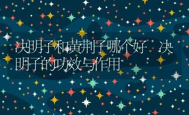 决明子和黄荆子哪个好 决明子的功效与作用 | 养殖资料投稿